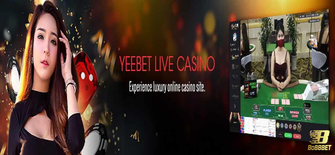 Thông tin sơ lược về Yeebet Live Casino